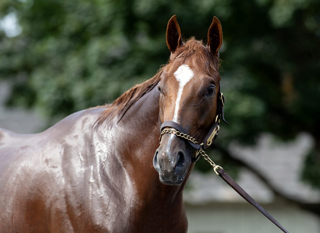Courting at Saratoga