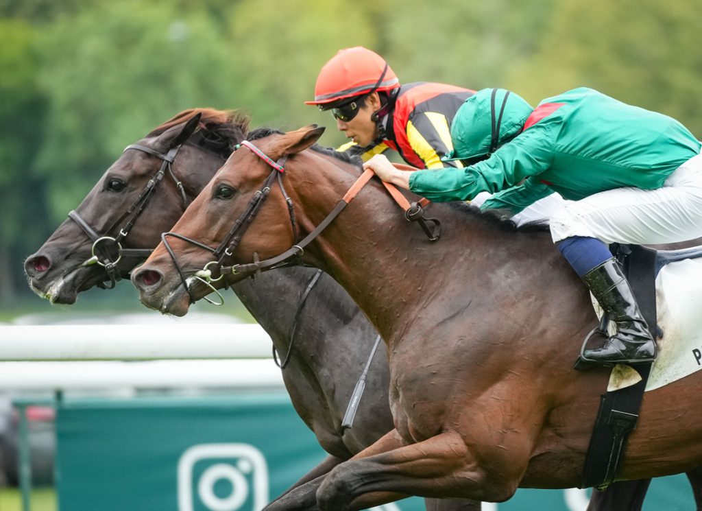 Japan's Croix Du Nord in action