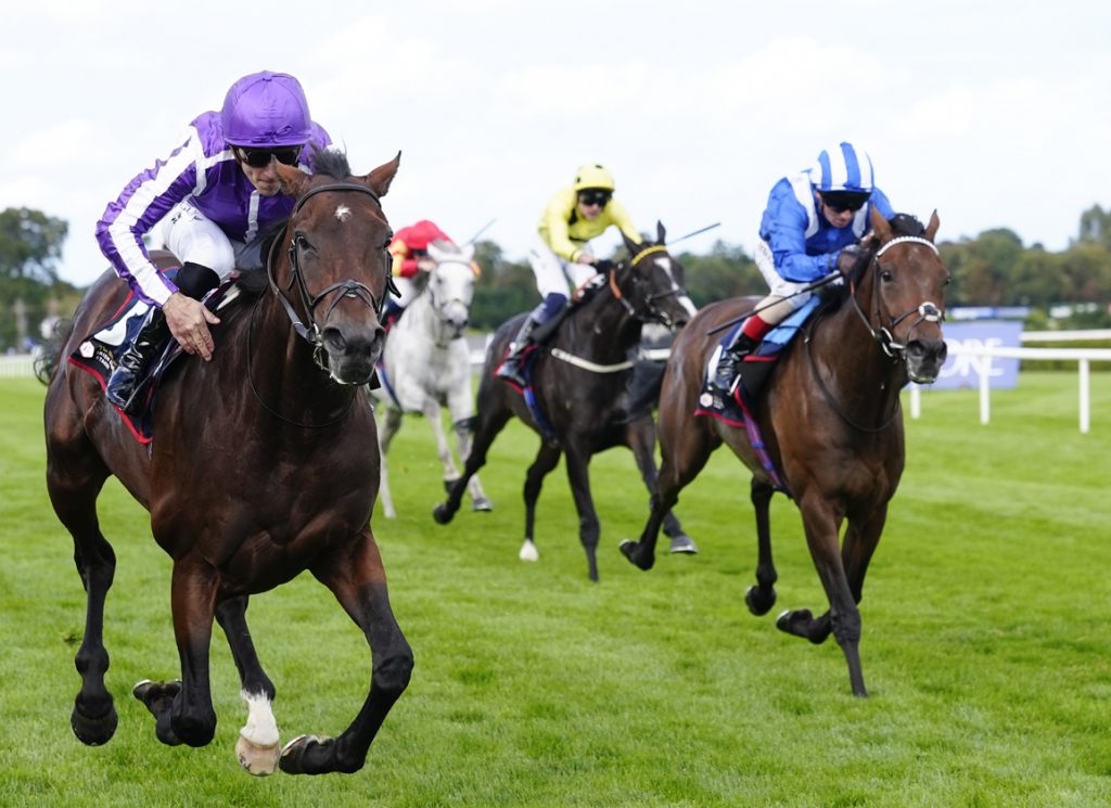 Delacroix burst to victory in the Irish Champion Stakes