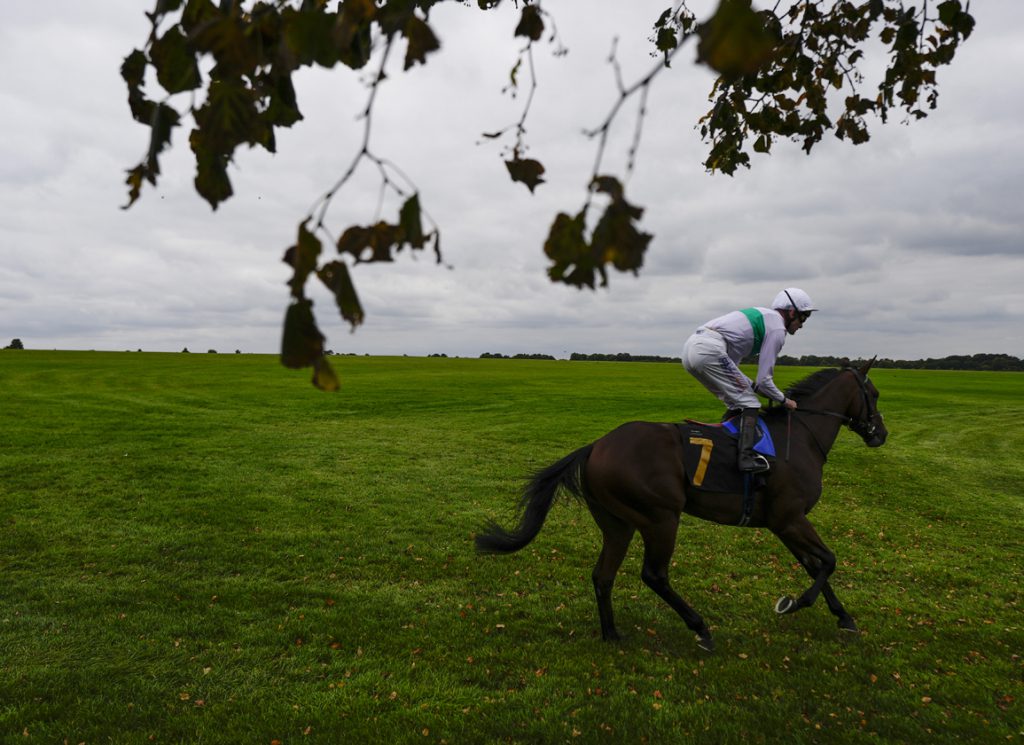 Enoch after winning at Newmarket