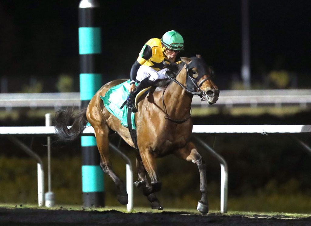 Gal in a Rush at Presque Isle Downs