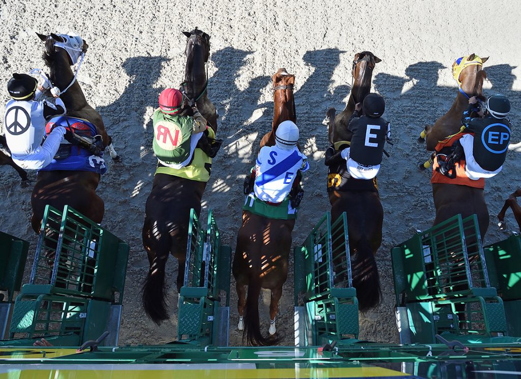 Horses break from the gate at Gulfstream