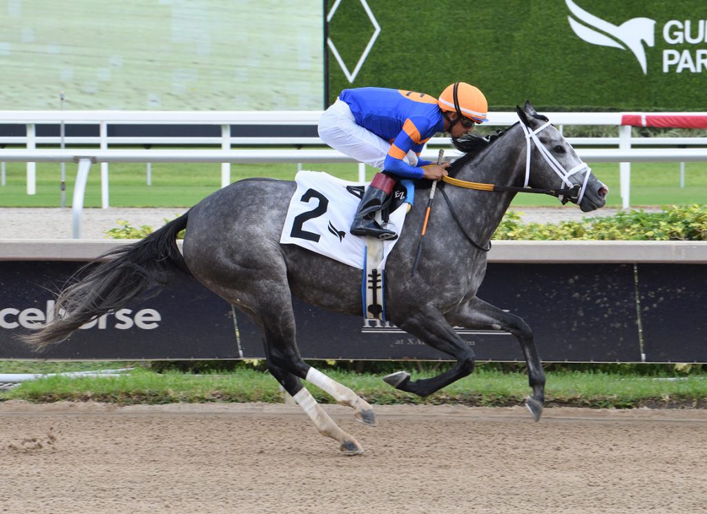Haulin Ice at Gulfstream