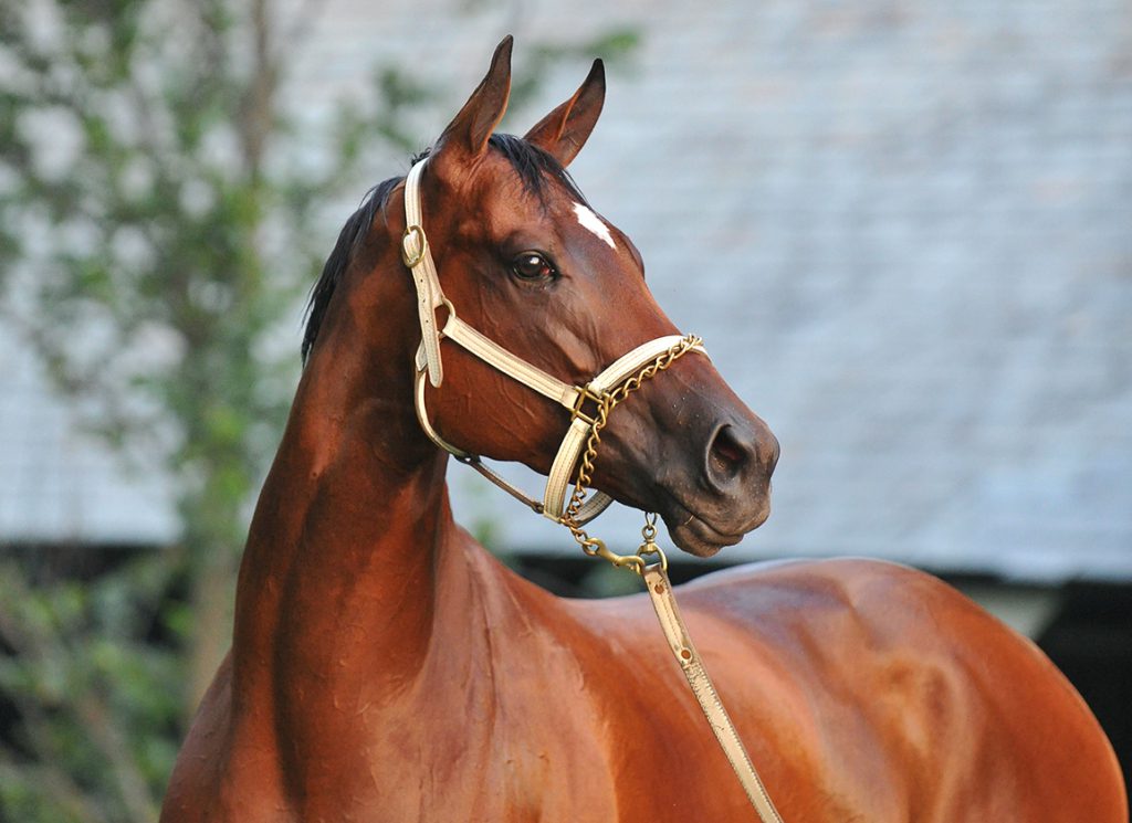 Havre de Grace