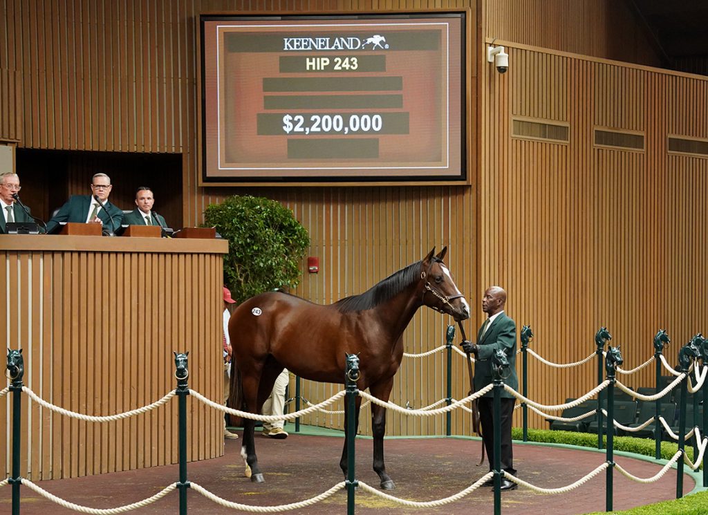 Hip 243 Gun Runner colt brings $2.2 million at Keeneland September