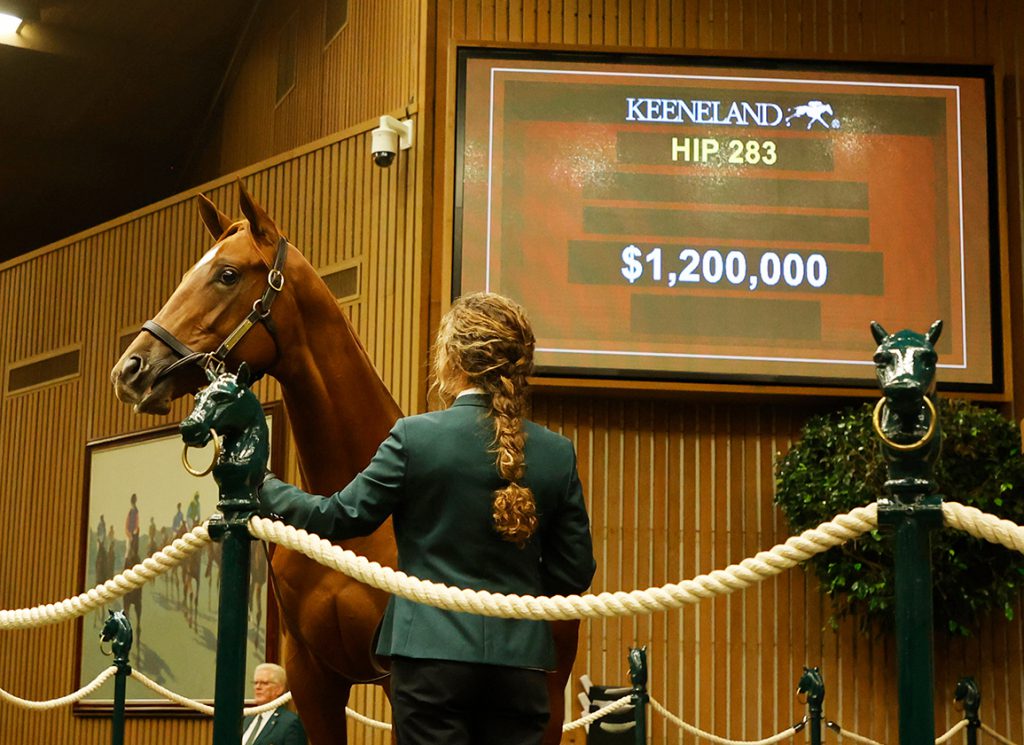 Our Forefathers (Constitution) brings $1.2 million at KEESEP