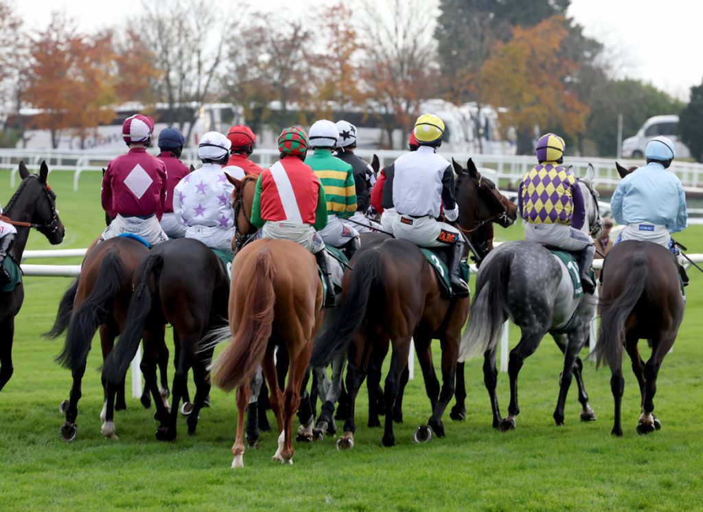 Horses preparing to start at Cheltenham
