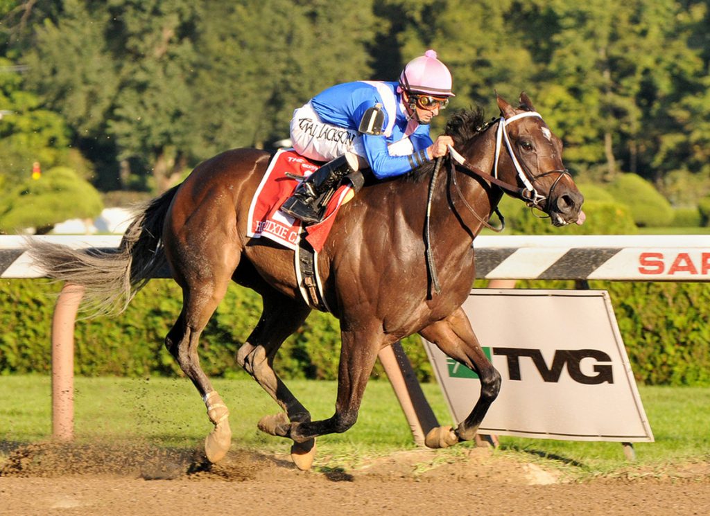 Hot Dixie Chick at Saratoga
