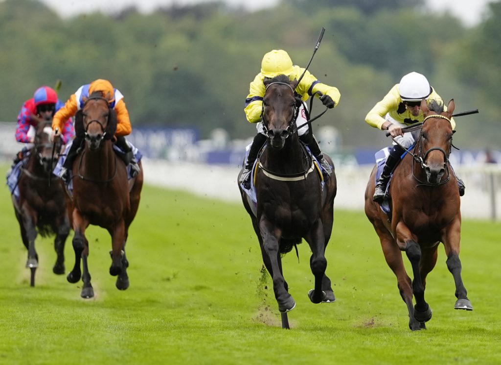 Lifeplan winning the Gimcrack