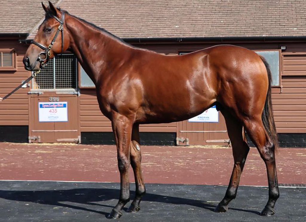 Marvelman as a yearling