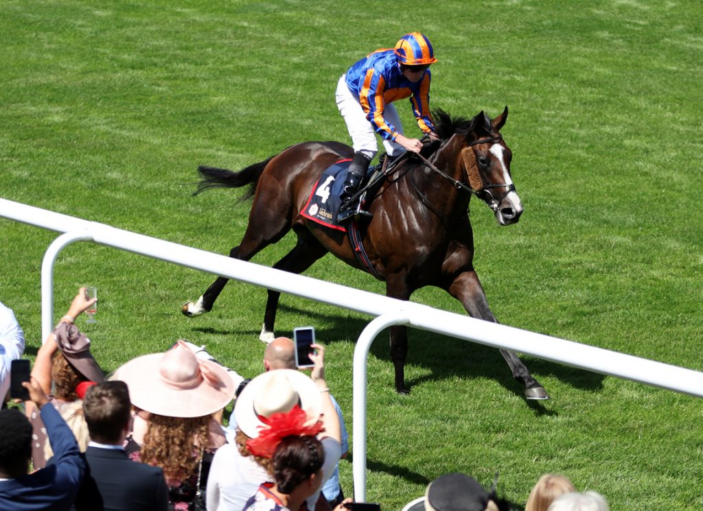 Ballydoyle's star stayer Scandinavia