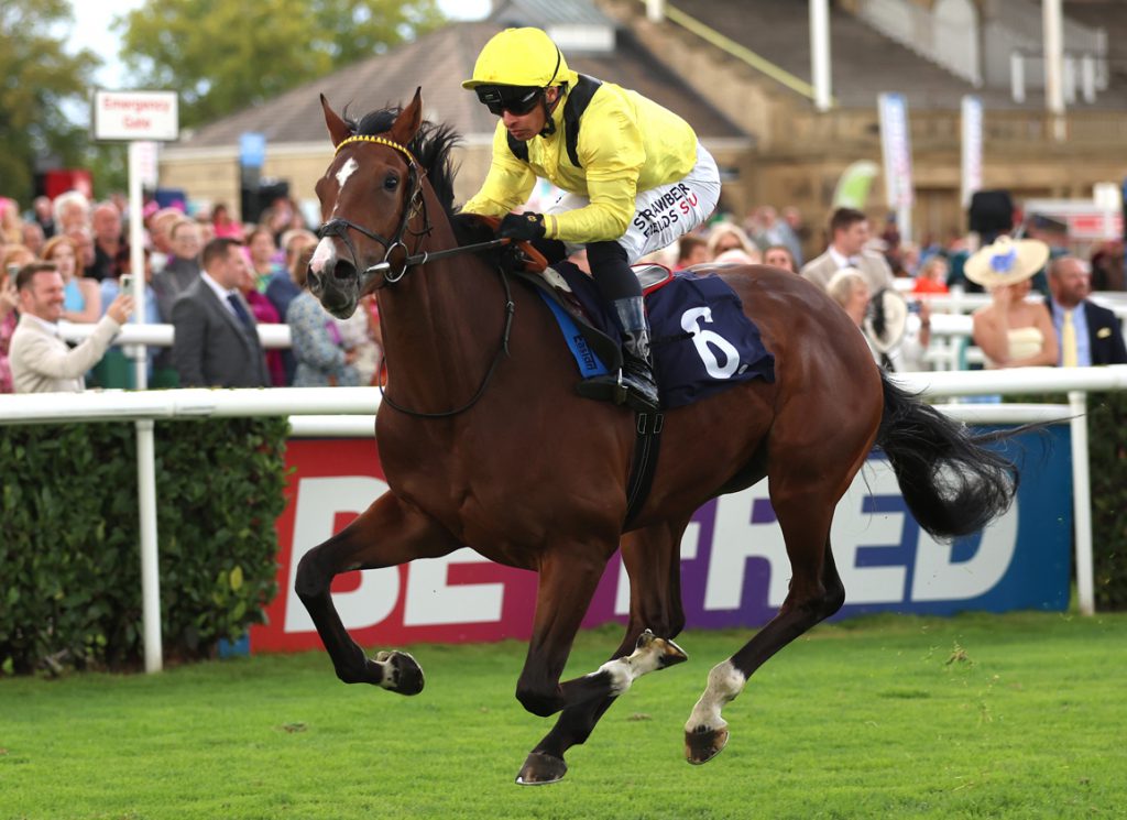 Wechaad will contest the Tattersalls Stakes