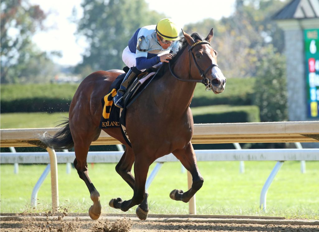 Cut to the Chase at Keeneland