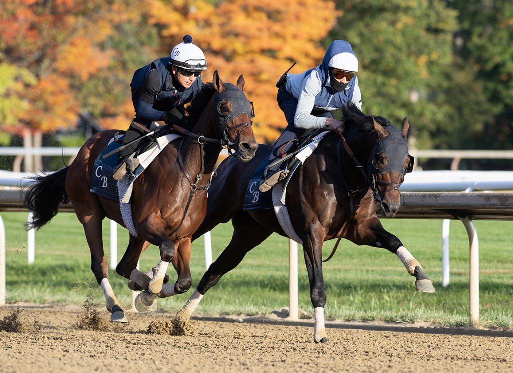 Duration outside, Sierra Leone inside at Saratoga