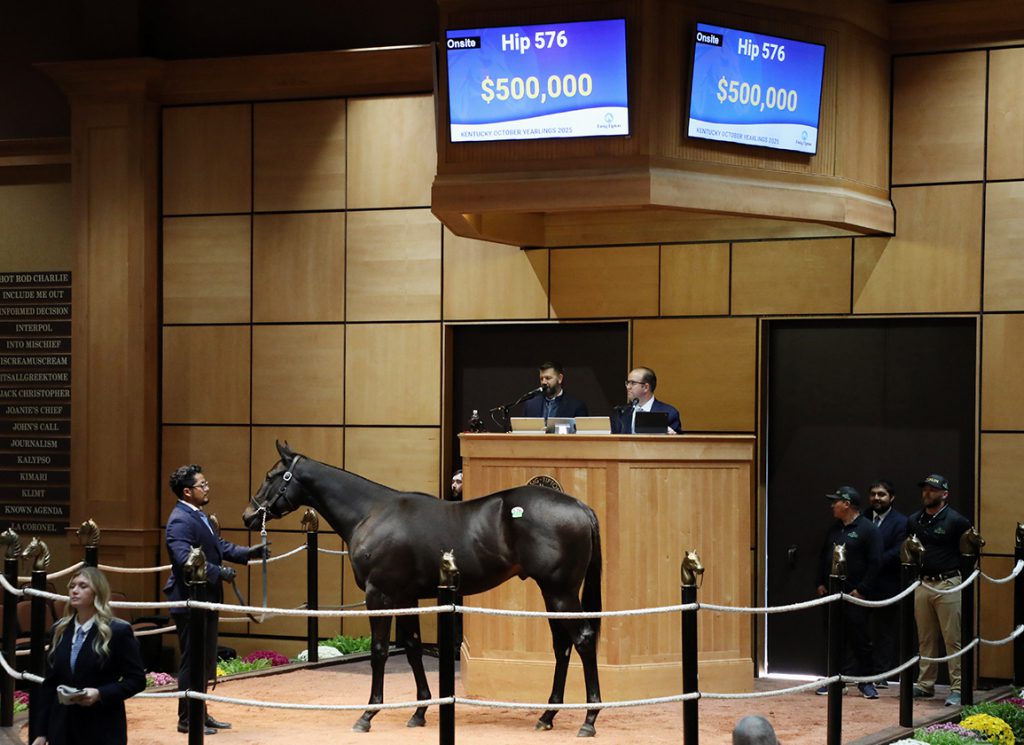 Life Is Good colt at Fasig-Tipton
