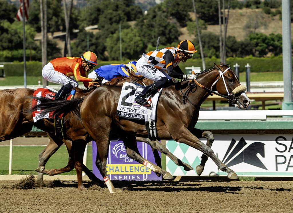 Intrepido at Santa Anita