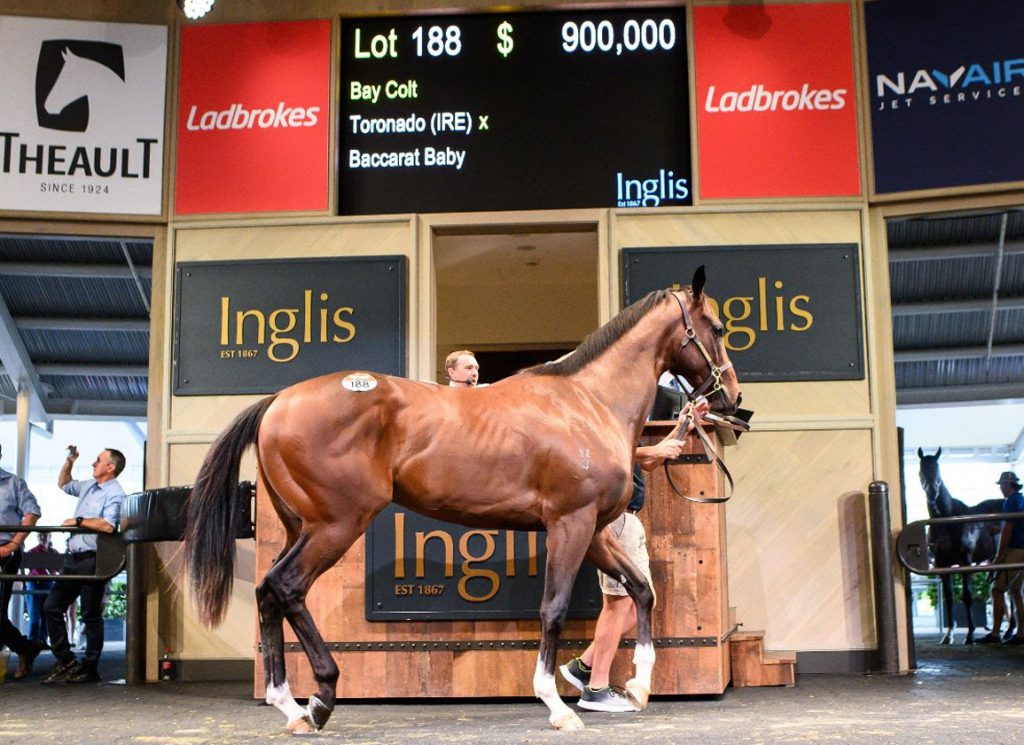 Lot 188, a son of Toronado