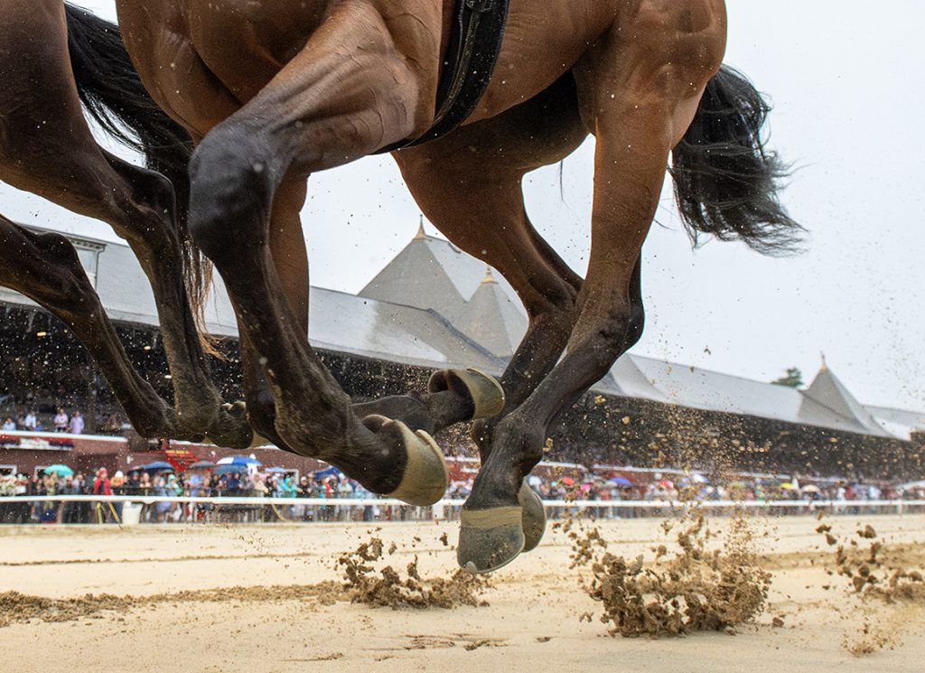 Generic racing scene at Saratoga