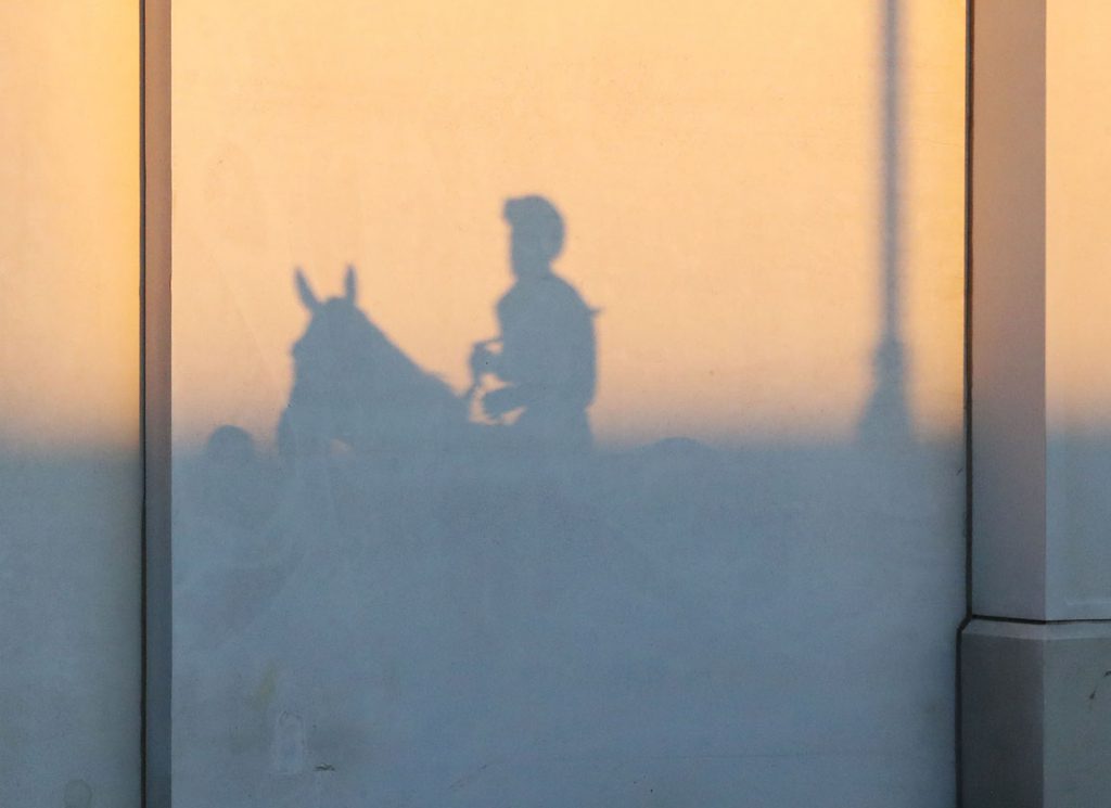 Horse shadow at Churchill Downs