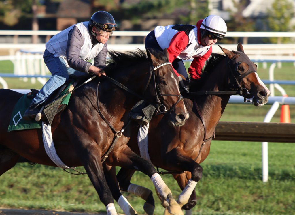 Sovereignty working at Saratoga