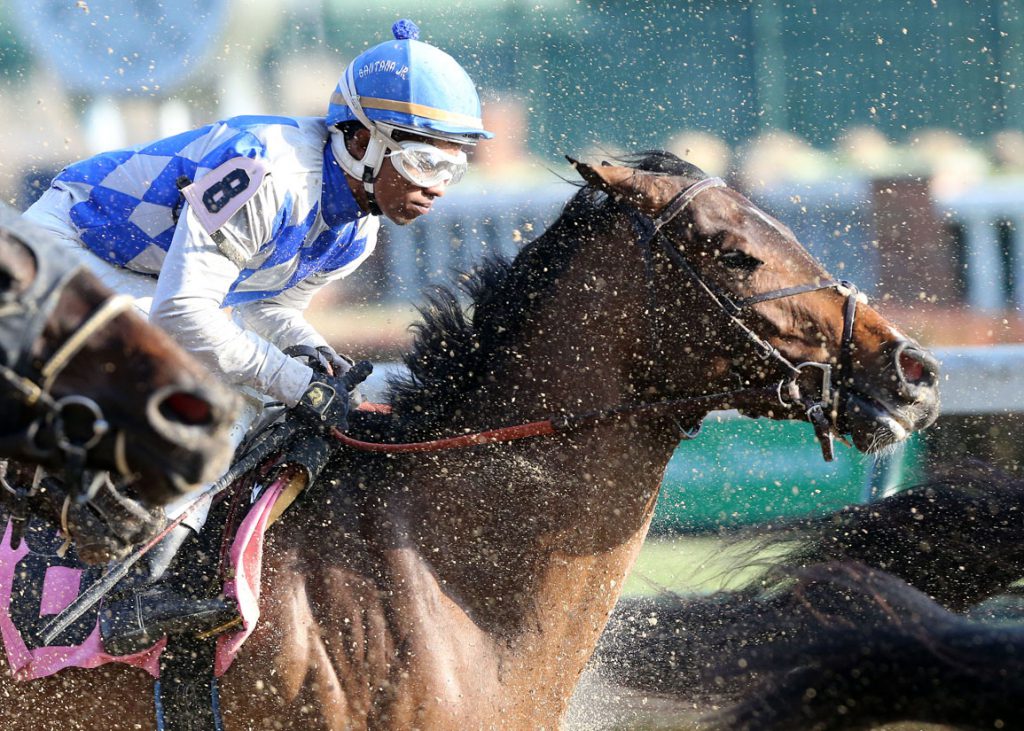 Horse at Churchill