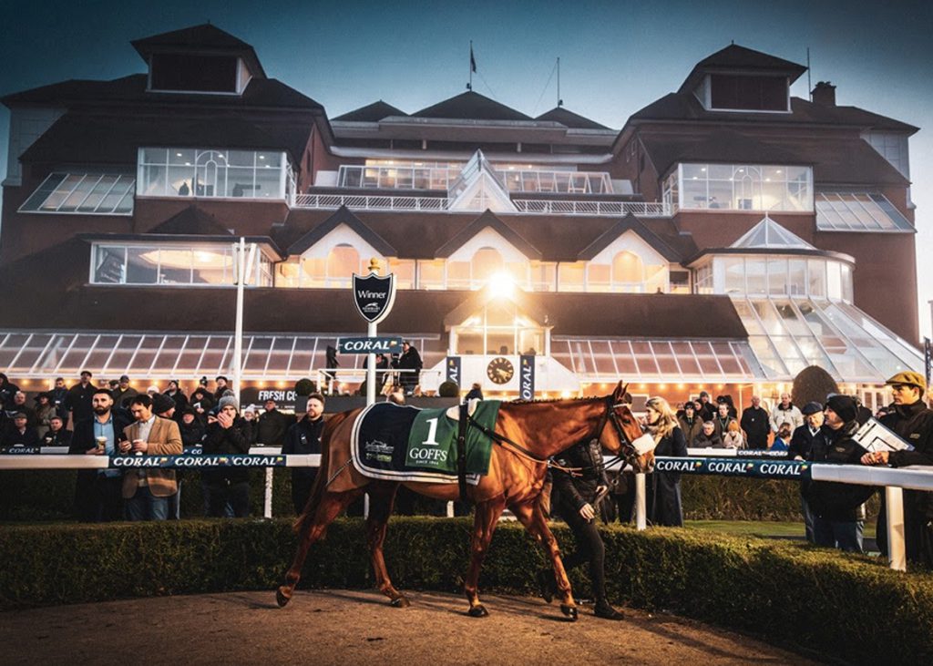 A horse in the ring at Newbury