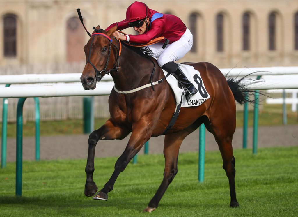 Half Sovereigns