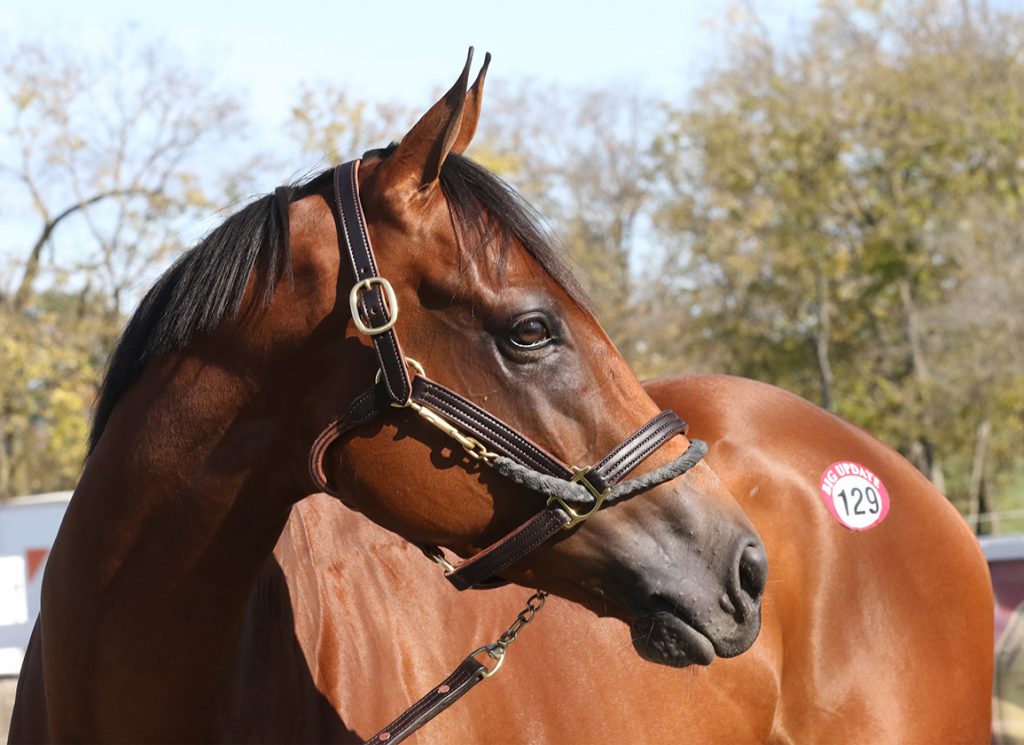 Lush Lips at Keeneland