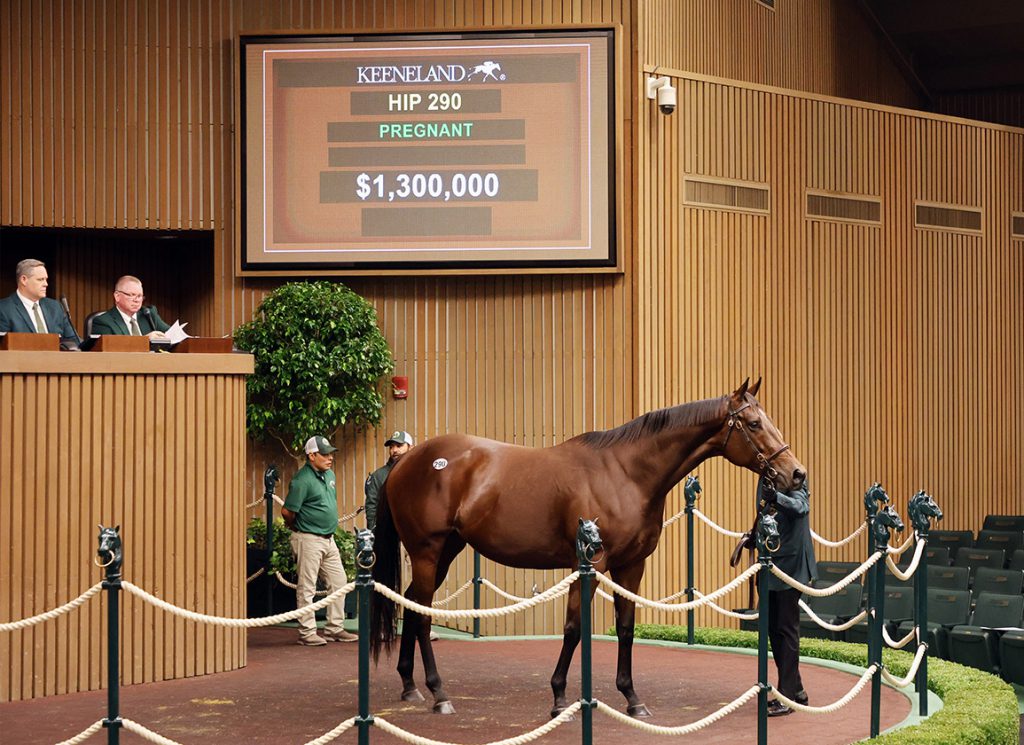 Anywho at Keeneland