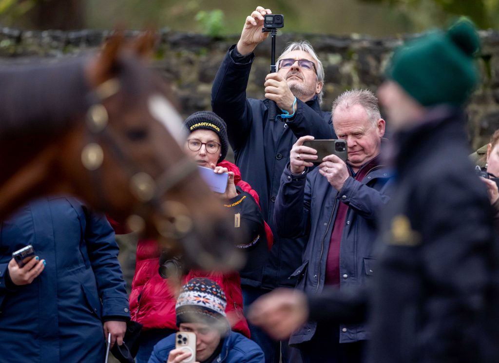 Visitors at Ballylinch Stud during the 2025 Trail