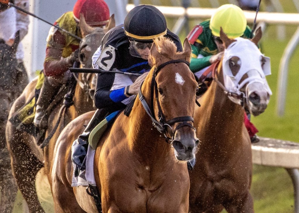 Little Miss Curlin