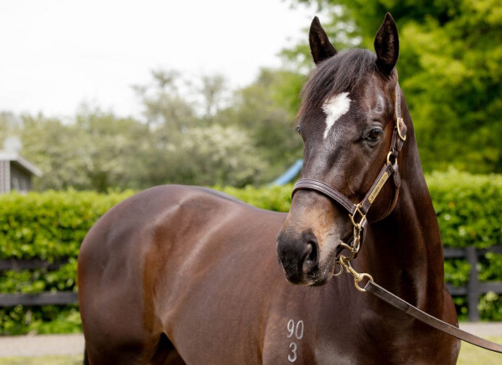 Lot 214, Wednesday's sale topper
