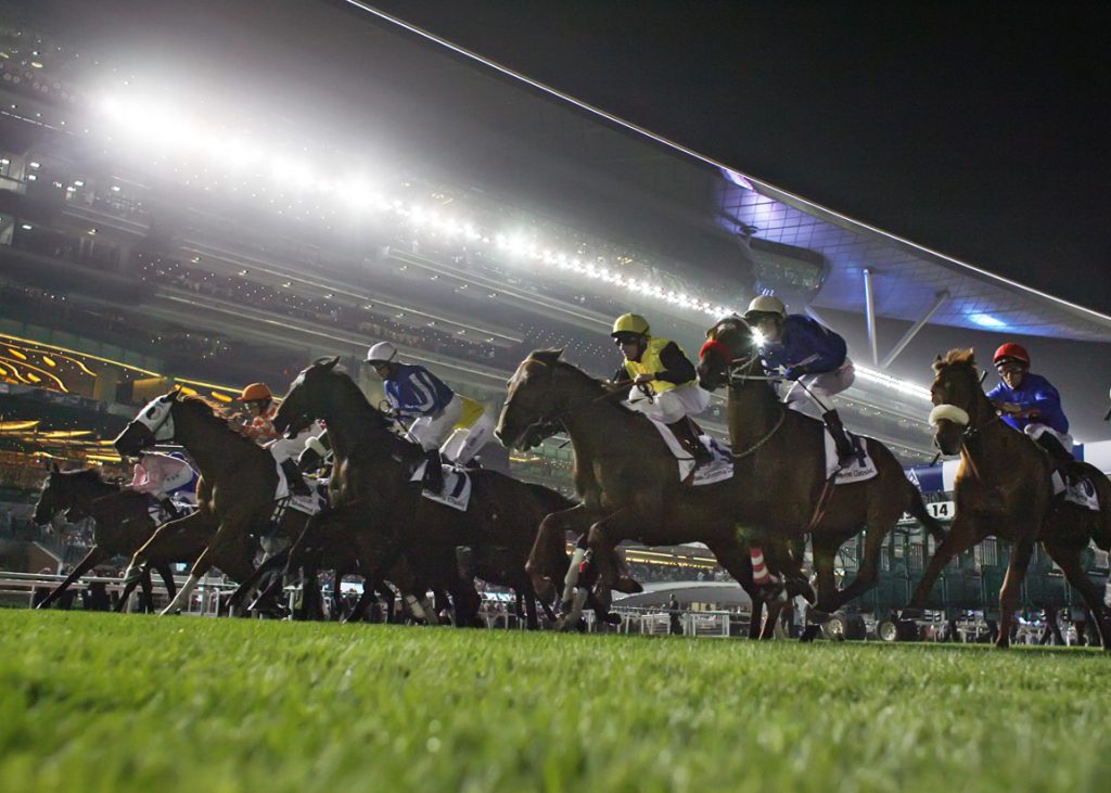 Horses racing over the Meydan turf
