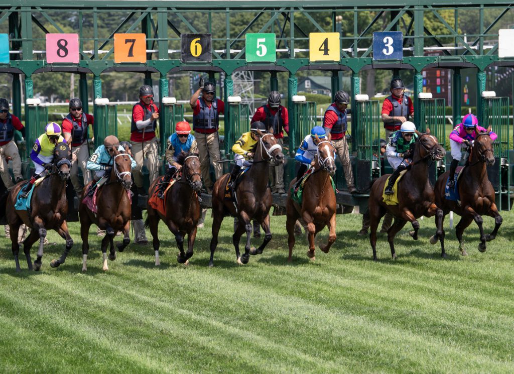 Grass racing at Saratoga