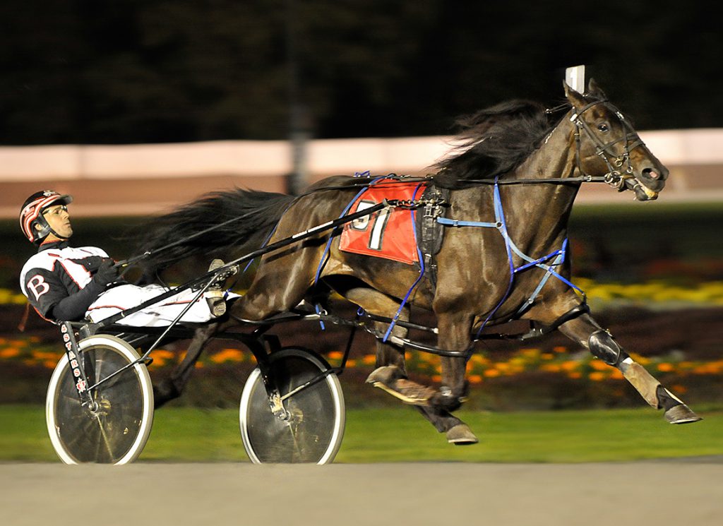 Harness racing at Saratoga Raceway