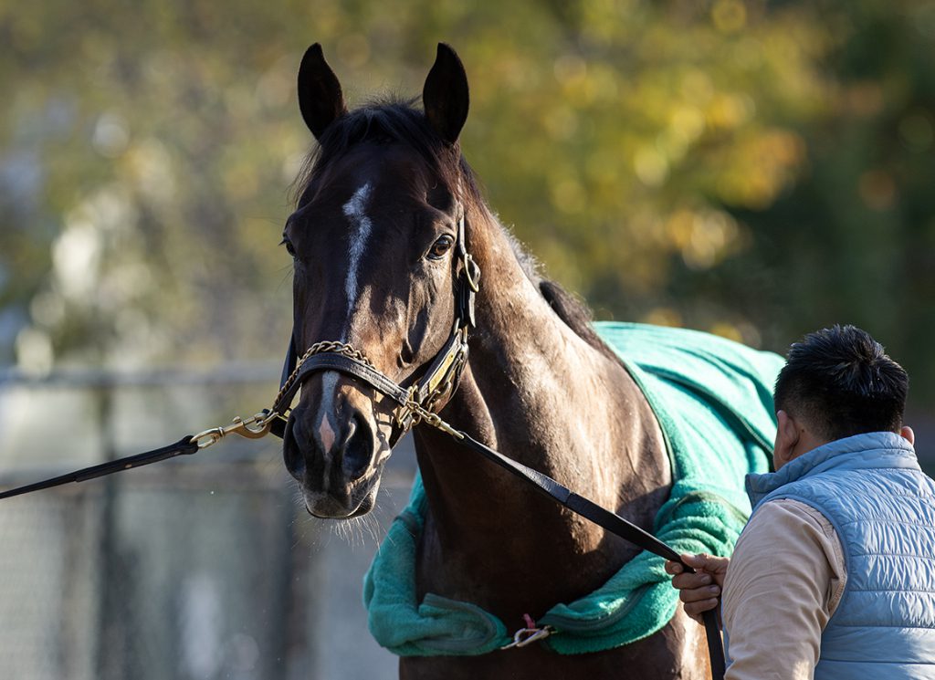 Sovereignty at Saratoga