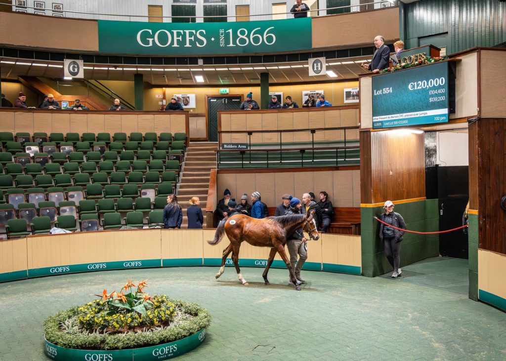 Lot 554, a son of Walk In The Park