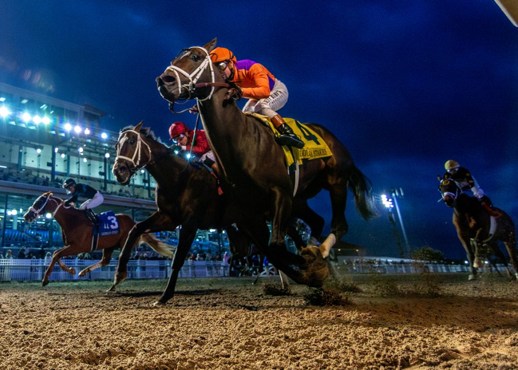 Accelerize at Fair Grounds