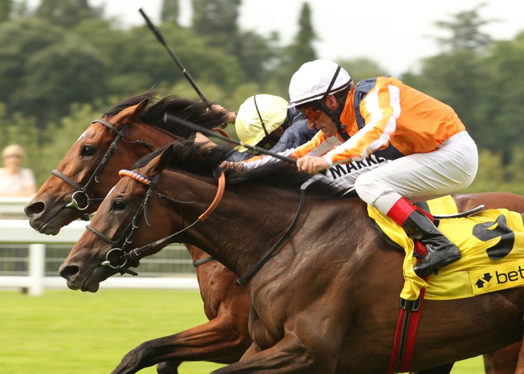 Danedream and Andrasch Starke