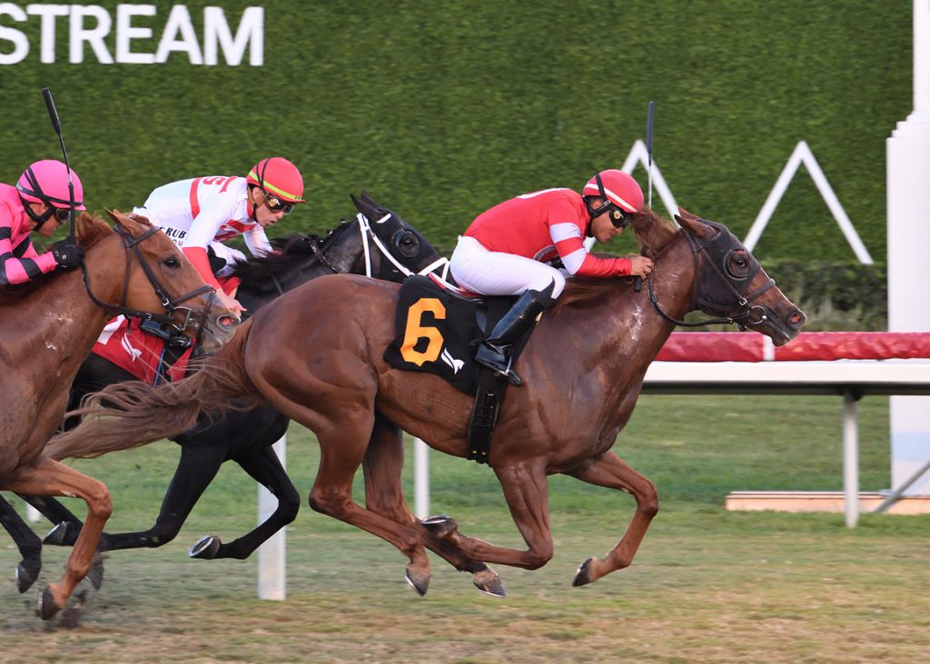 Ifyousaidso at Gulfstream