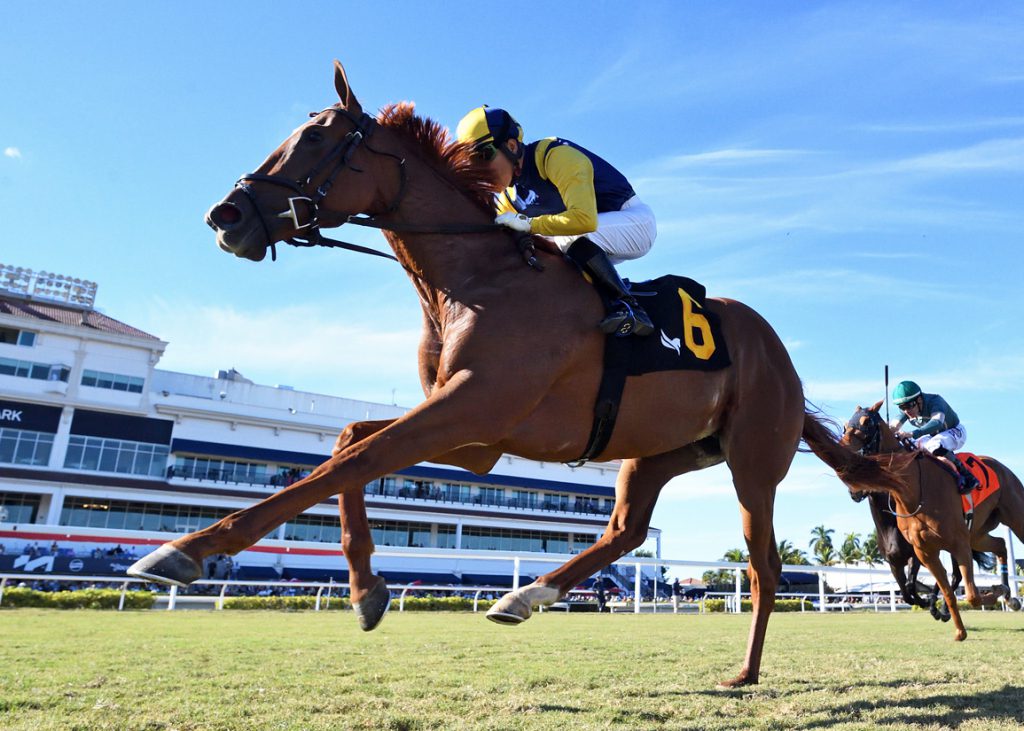 Sister Troienne at Gulfstream