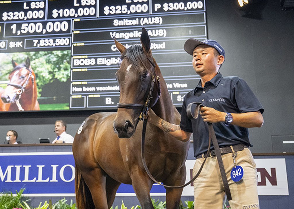 Snitzel colt, day four topper in 2026, MMGCYS