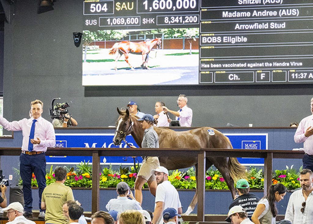 Snitzel Day 3 topper (2026)