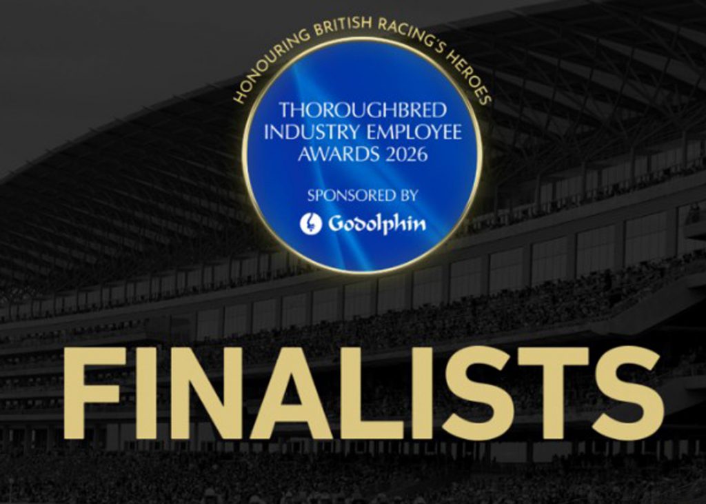 Finalists for the 2026 TIEA awards