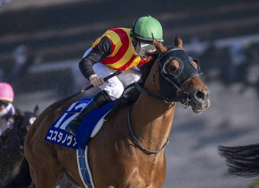 Costa Nova, 2026 G1 February Stakes