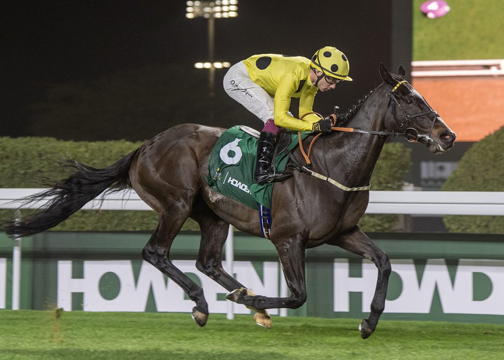 Royal Champion