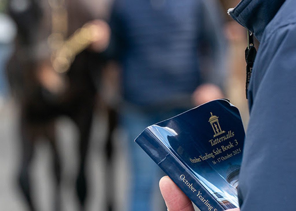 Tattersalls catalogue