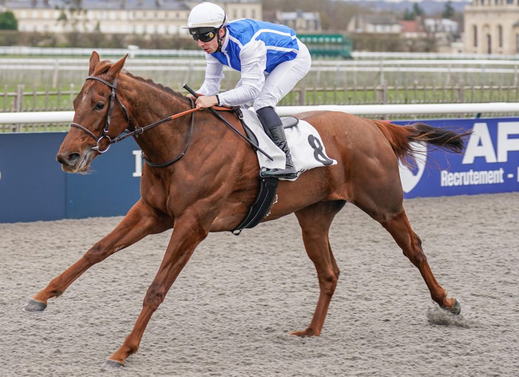 The Wertheimer Classic prospect Turbulente