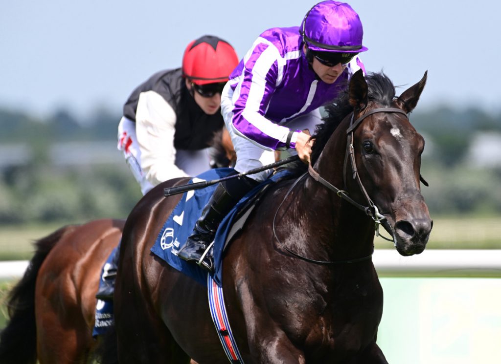 Ballydoyle's buzz horse Albert Einstein