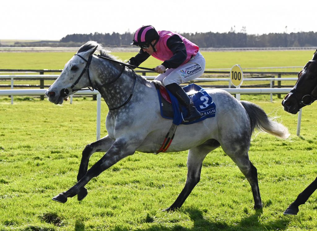 The Curragh specialist Big Gossey